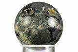 Colorful Polished Marcasite Agate Sphere - Indonesia #330226-1